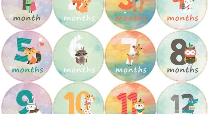 12 Pcs Baby Pregnant Monthly Stickers Animal Pattern Recording Milestone Sticker B36E