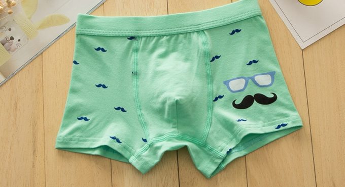 High quality Cotton Shorts boys underwear Kids Underwear Boxer briefs Panties Cartoon Pattern Soft Children's Teenager 4-14y