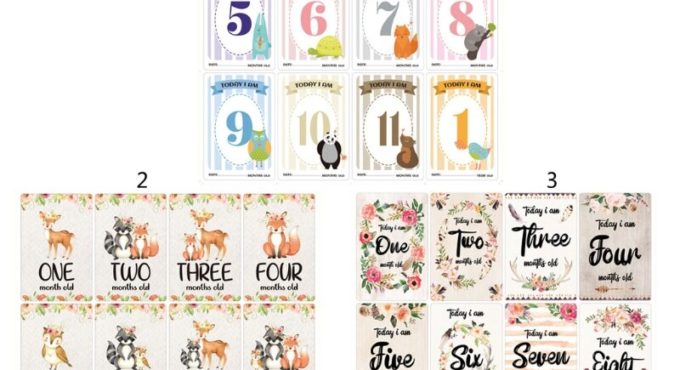 12 Sheet Baby Monthly Milestone Cards Birth to 12 Months Photo Prop Moment Cards