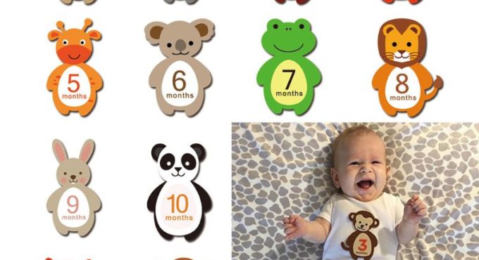 12 Sheets/set Cute Baby Monthly Milestone Stickers Animal Belly Photographic Props Pregnant Women Newborn Infant photo