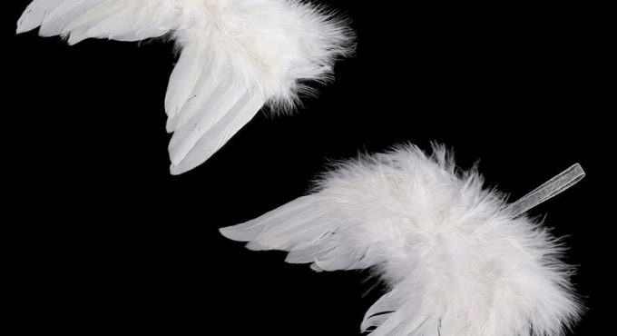 Newborn Baby Boy Girl White Angel Wings Photo Props Cute Photography Accessories Ornaments