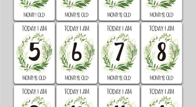 12 Sheet Milestone Photo Sharing Cards Gift Set Baby Age Cards - Baby Milestone Cards, Baby Photo Cards - Newborn Photo