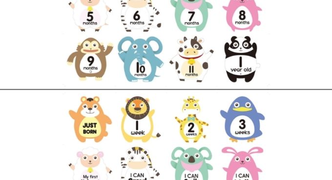 12 Pcs Baby Monthly Stickers Milestone Cards Record 0-12 Months Growth Keepsakes GXMB