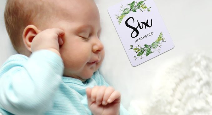 Plants Printed Newborn Baby Month Stickers with Sufficient Durability and Ruggedness Milestone Memory Photo Props 12pcs