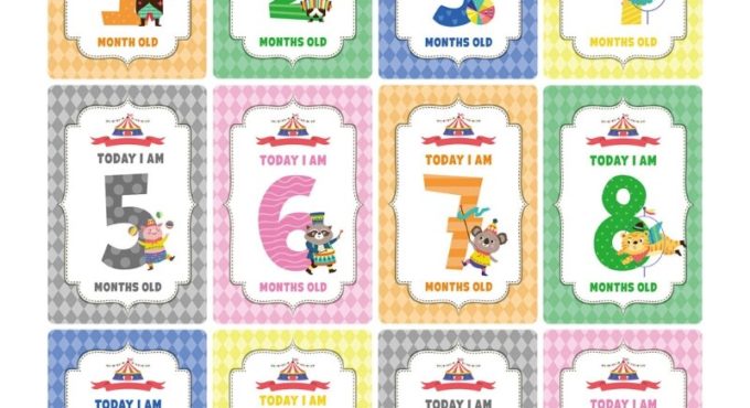 12 Pcs Month Card Baby Monthly Newborn Milestone Photo Sharing Cards Gift Set Funny Cartoon Photography Photo Cards Stic