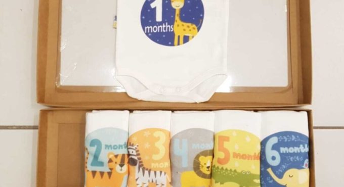 ZEZE 0 Cotton Baby Clothes Infant Newborn Baby Girls Boy Four Season Unisex Baby Bodysuit Every Month Different Bodysuit Sets