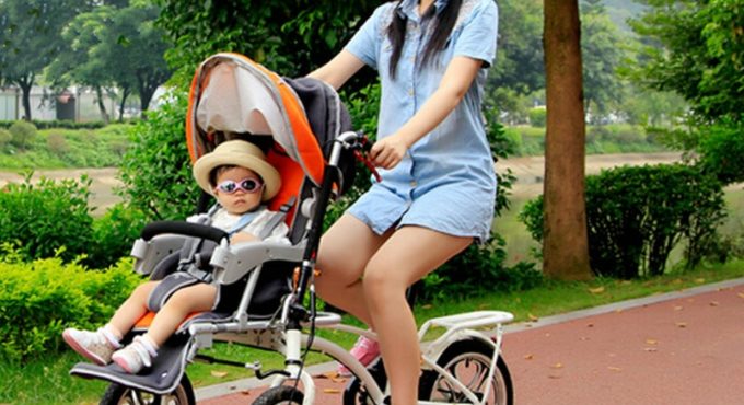 2 In 1 Bicycle Stroller/Shopping Cart With Mosquito Net & Rain Cover