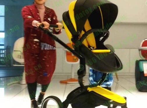 finfin foofoo hot mom spacewalk skywork high landscape baby stroller need book no stock