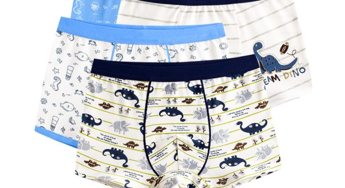 4 Piece Kids Boys Underwear Cartoon Children's Shorts Panties for Baby Boy Boxers Stripes Teenager Underpants 4-14T