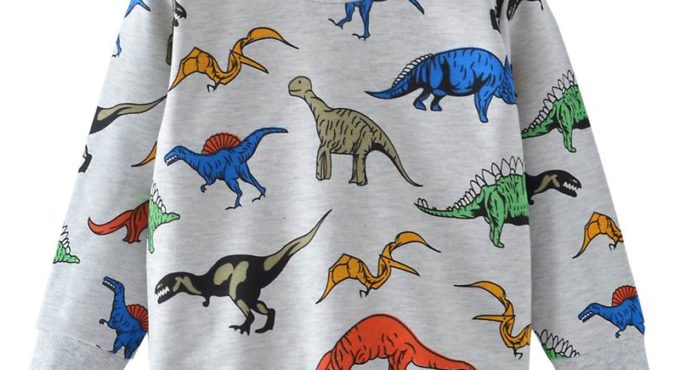 SAILEROAD Cartoon Dinosaur Boys Sweatshirts for Little Kids Hoodies Clothes 2-7Years Autumn Children Long Sleeve Shirts Cotton