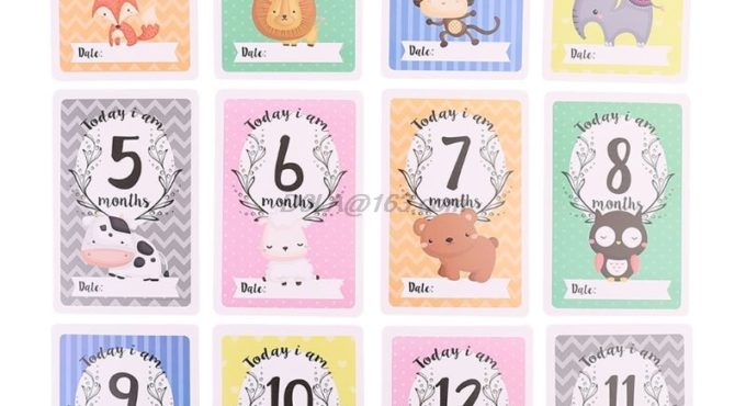 12 Sheet Milestone Baby Photograp Sharing Card Gift Set Baby Age Cards Baby Milestone Cards Baby Photo Cards Newborn Photo props