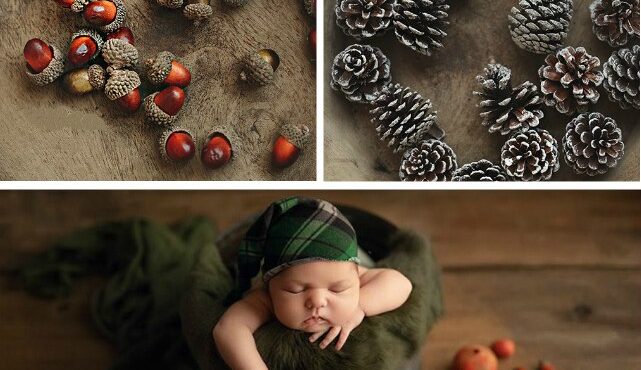 Photography Props Christmas Pine Cones And Artificial Nuts New Year Theme Shoot Photo Studio New Accessories 10 Pcs