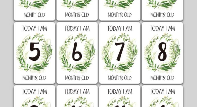 12 Sheet Milestone Photo Sharing Cards Gift Set Baby Age Cards - Baby Milestone Cards, Baby Photo Cards - Newborn Photo