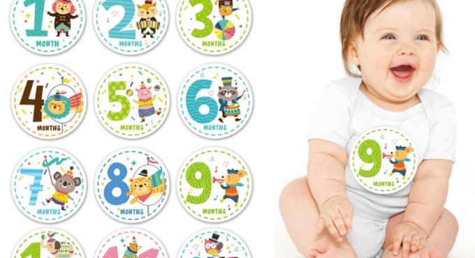 1-12 Months Baby Monthly Stickers Newborn First Year Age & Growth Tracking Stickers Shower Registry Gift & Scrapbook Photo Keeps