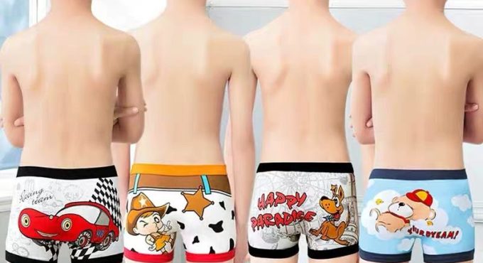 6pcs/lot Kids Underpants Baby's Cute Cartoon Ventilate Underwear Boxer Boys Pure Cotton Soft Boxers 2-10Y