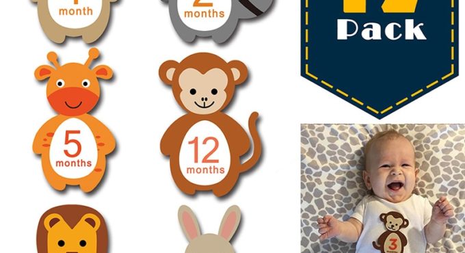 Free Shipping Newborn Baby Monthly Milestone Sticker Baby Photography Accessories Props Photo Stickers